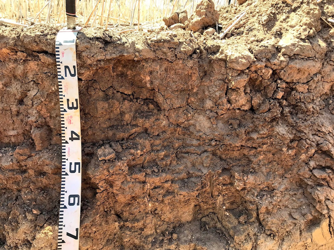 Soil Land Pit Salinity Acidity Sodicity